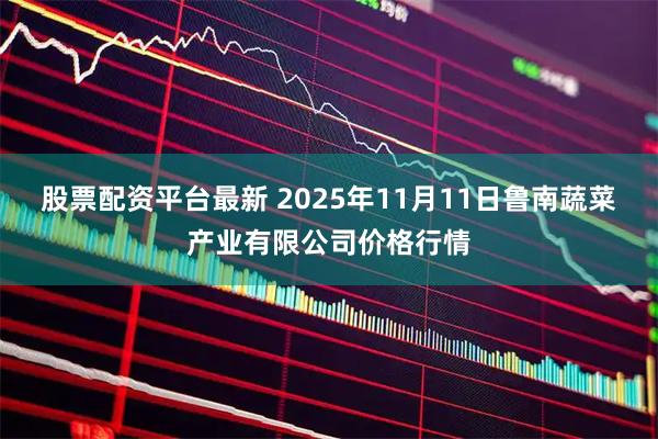 股票配资平台最新 2025年11月11日鲁南蔬菜产业有限公司价格行情
